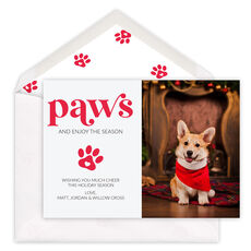 Paws and Enjoy the Season Flat Photo Cards