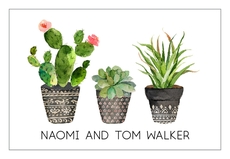 Southwest Potted Garden Gift Stickers