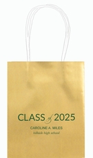 Bold Class of Graduation Mini Twisted Handled Bags