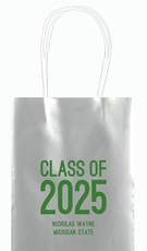 Proud Class of Graduation Mini Twisted Handled Bags