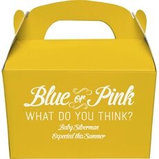 Blue or Pink Shower Gable Favor Boxes